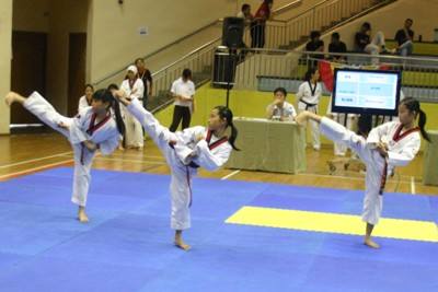 9th National Taekwondo Poomsae Championships