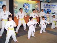 Amazing Taekwondo Warriors