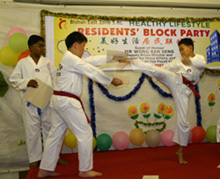 DPM Wong Watches a TKD Demonstration ….