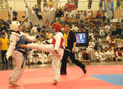 Local Tournaments for the Year 2010