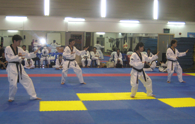 Poomsae Coach Results