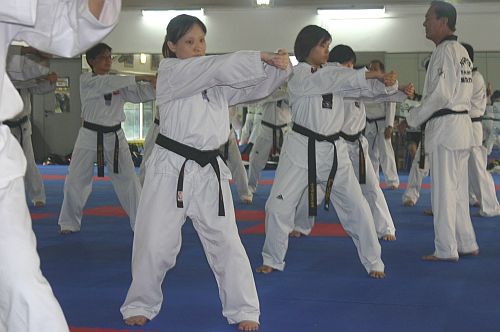 Taekwondo Coaching (Level 1) Course