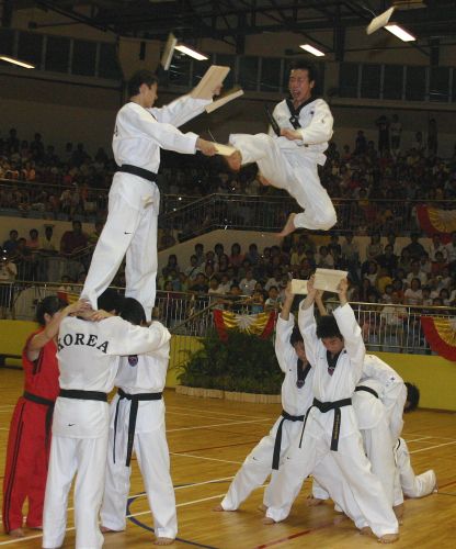 Taekwondo Spectacular – Don’t Miss It