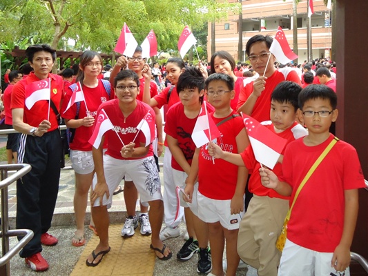 Taekwondo Volunteers