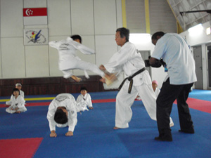 Taekwondo Warriors in the News