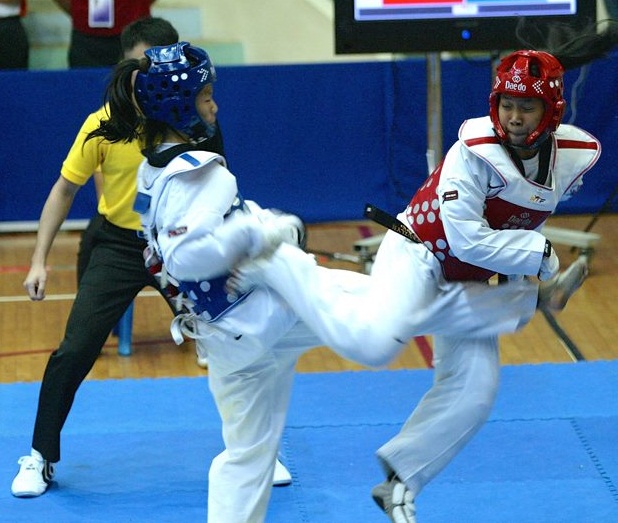 2016 National Taekwondo Kyorugi Championships