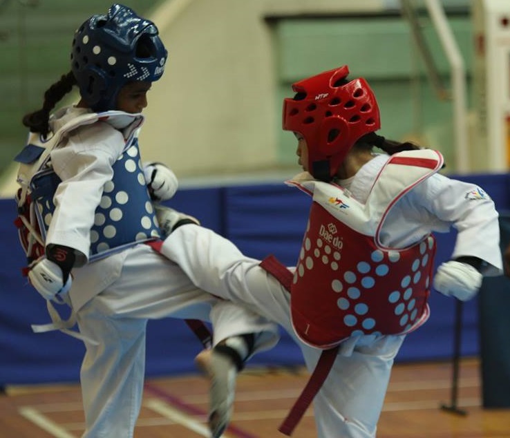 2017 National International Schools (Program & Fixtures)