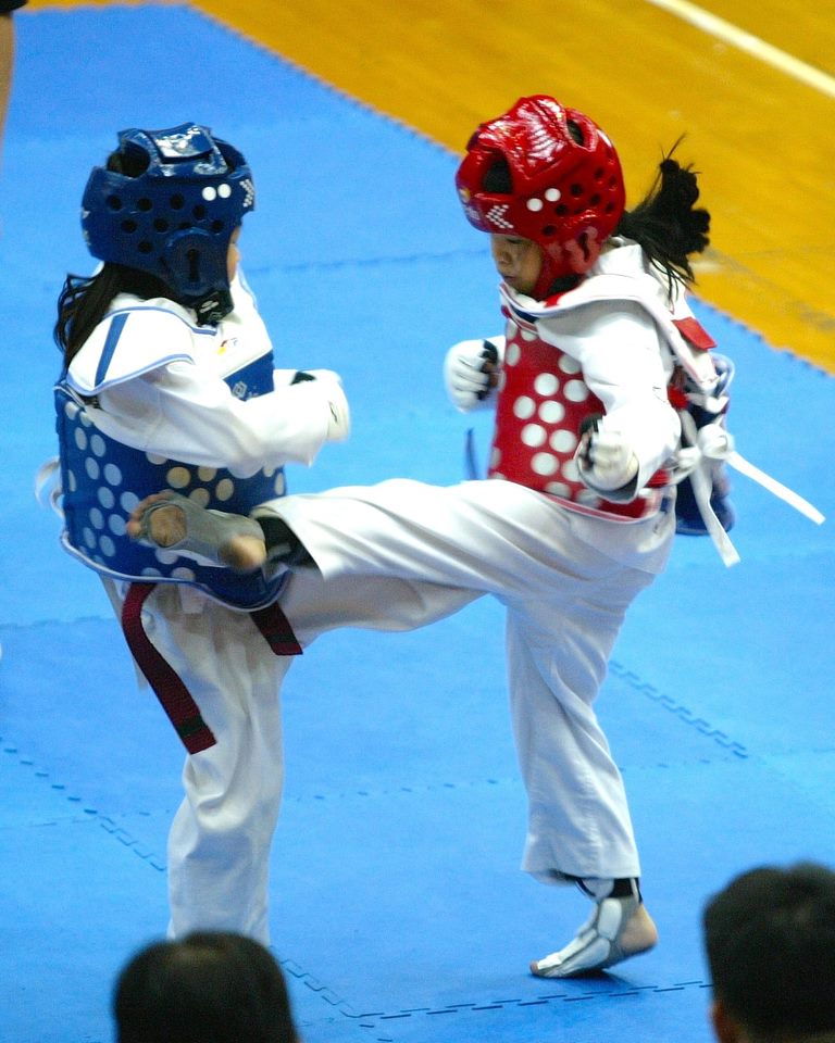 2017 National International Schools Taekwondo Championships