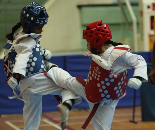 2017 PA-STF Taekwondo Championships