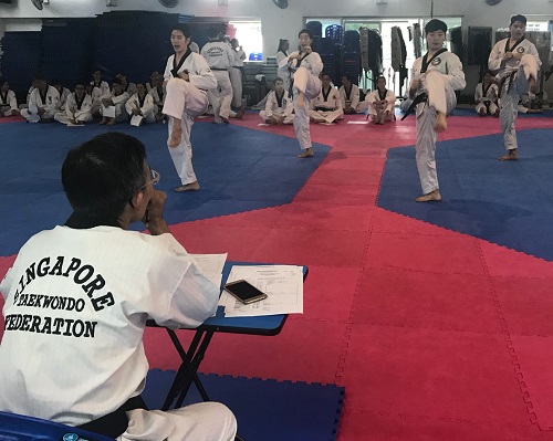 NCAP (Level 1) Results (June 2018)