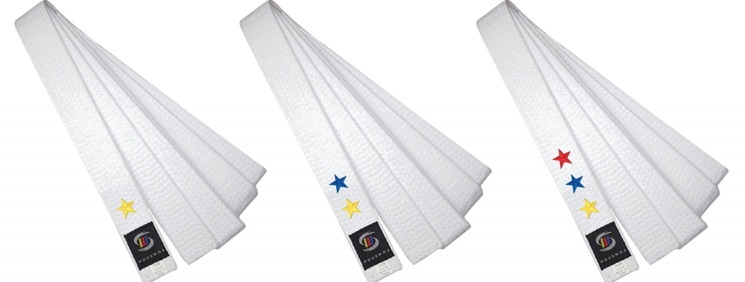 Taekwondo white belt grading deals