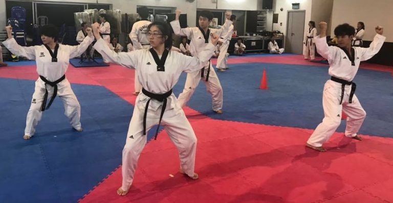 Poomsae Coach Course (Saturday 21 January 2017)