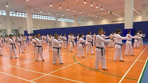Poomsae Coach Upgrading Course Results (1 April 2017)