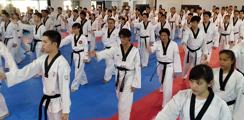 Registration Open for 2016 Kyorugi Referee Refresher Seminar