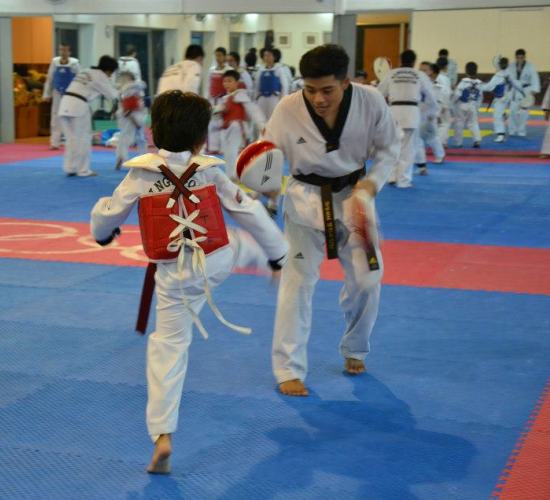 Sparring Course (Level 2) 17, 18 & 24 September 2016