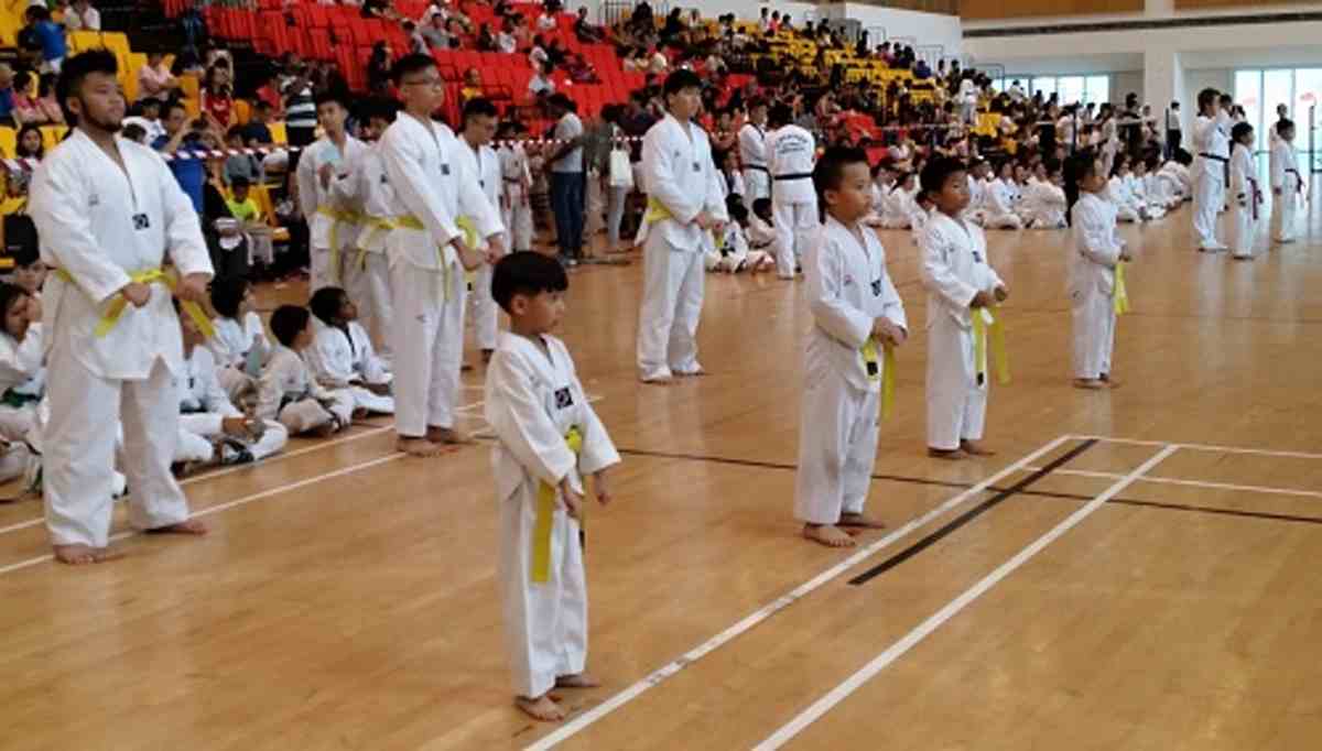 Grading Archives - Singapore Taekwondo Federation 新加坡跆拳道总会